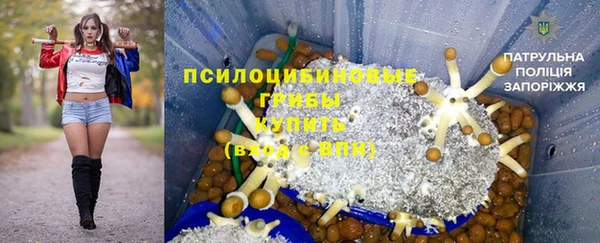 a pvp Лиски
