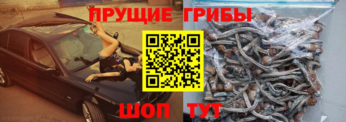 Галлюциногенные грибы ЛСД Нальчик
