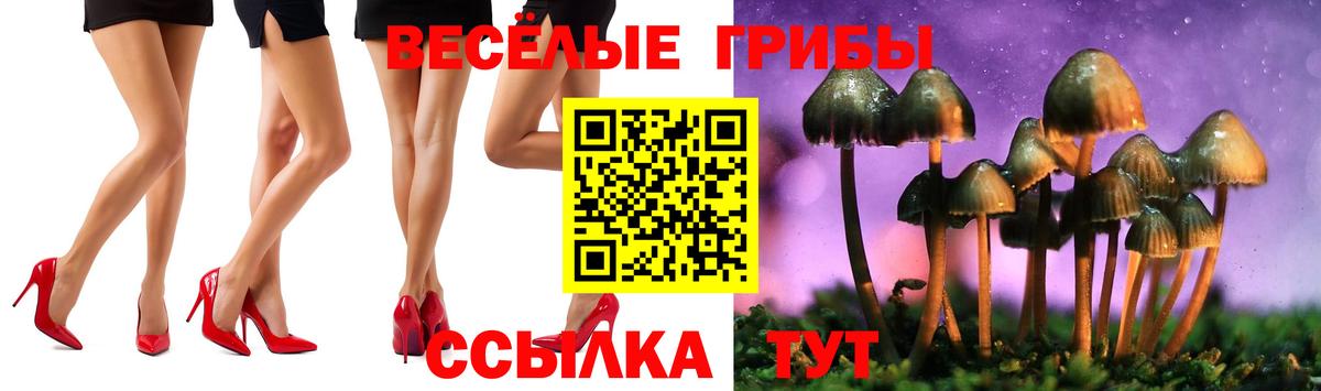 Нальчик  Галлюциногенные грибы Psilocybe  Вход с VPN 
